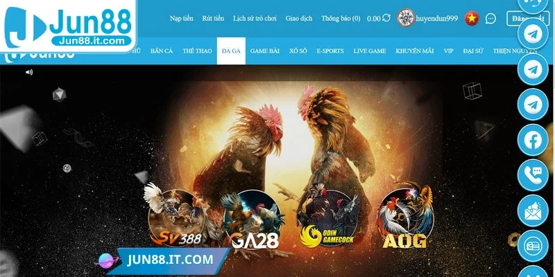 Đá gà Thomo online là một trong những sản phẩm cược nổi bật